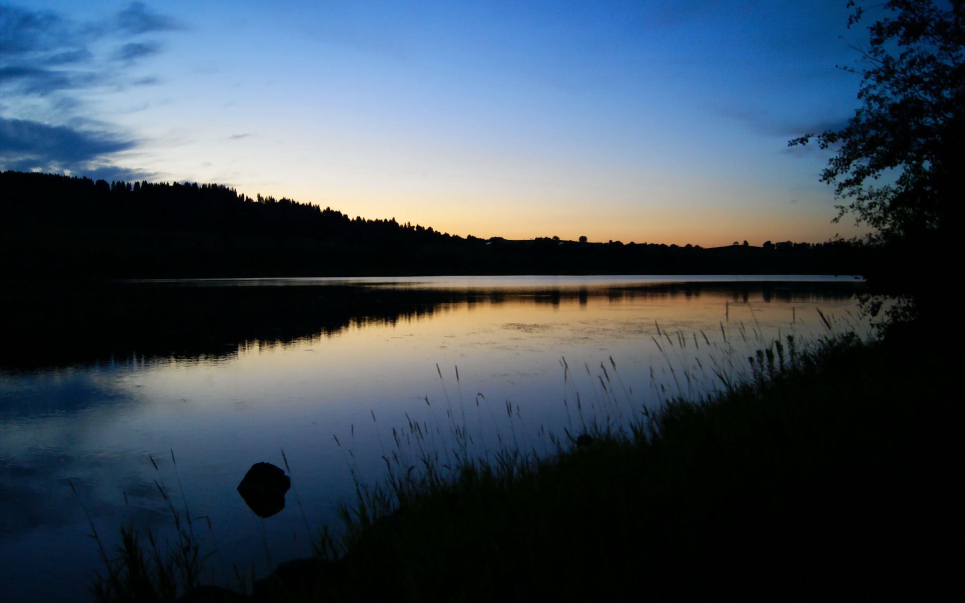 威廉姆斯表示:“这是我为之奋斗的梦想”