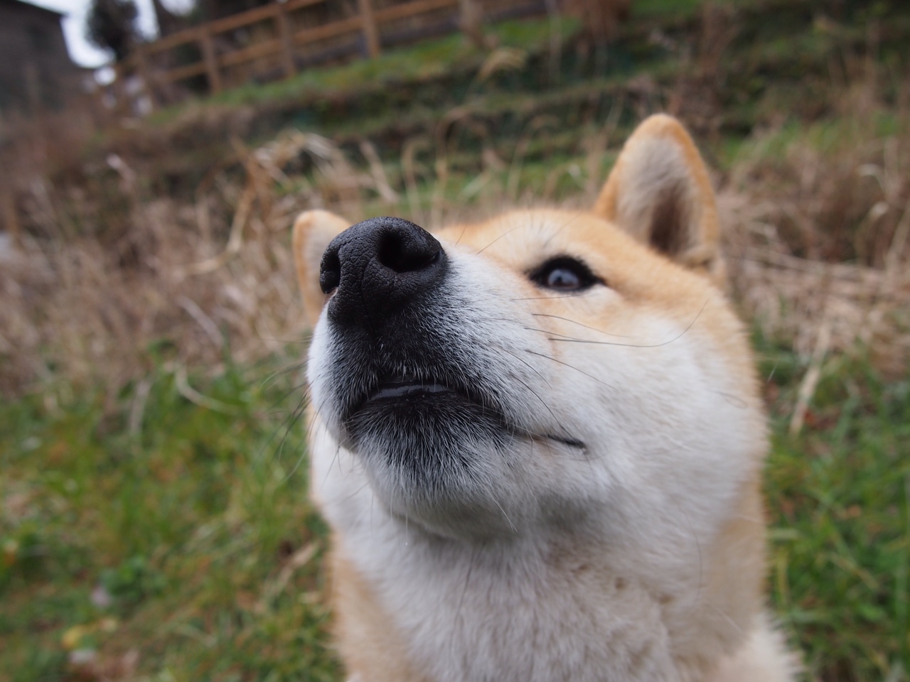 江苏苏宁迎来成都兴城,胜利将为哪一方倾注祝福?,苏宁城市