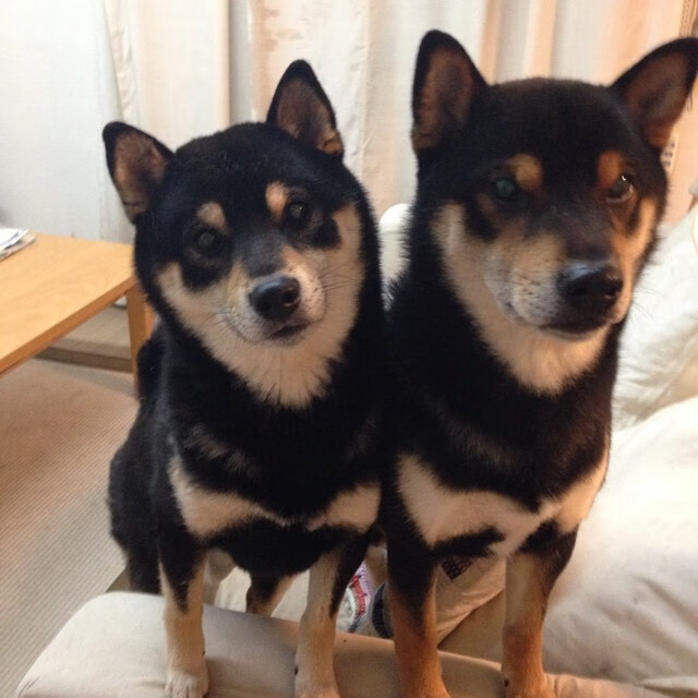 赫塔柏林是否应大刀阔斧重建阵容，柏林赫塔贴吧