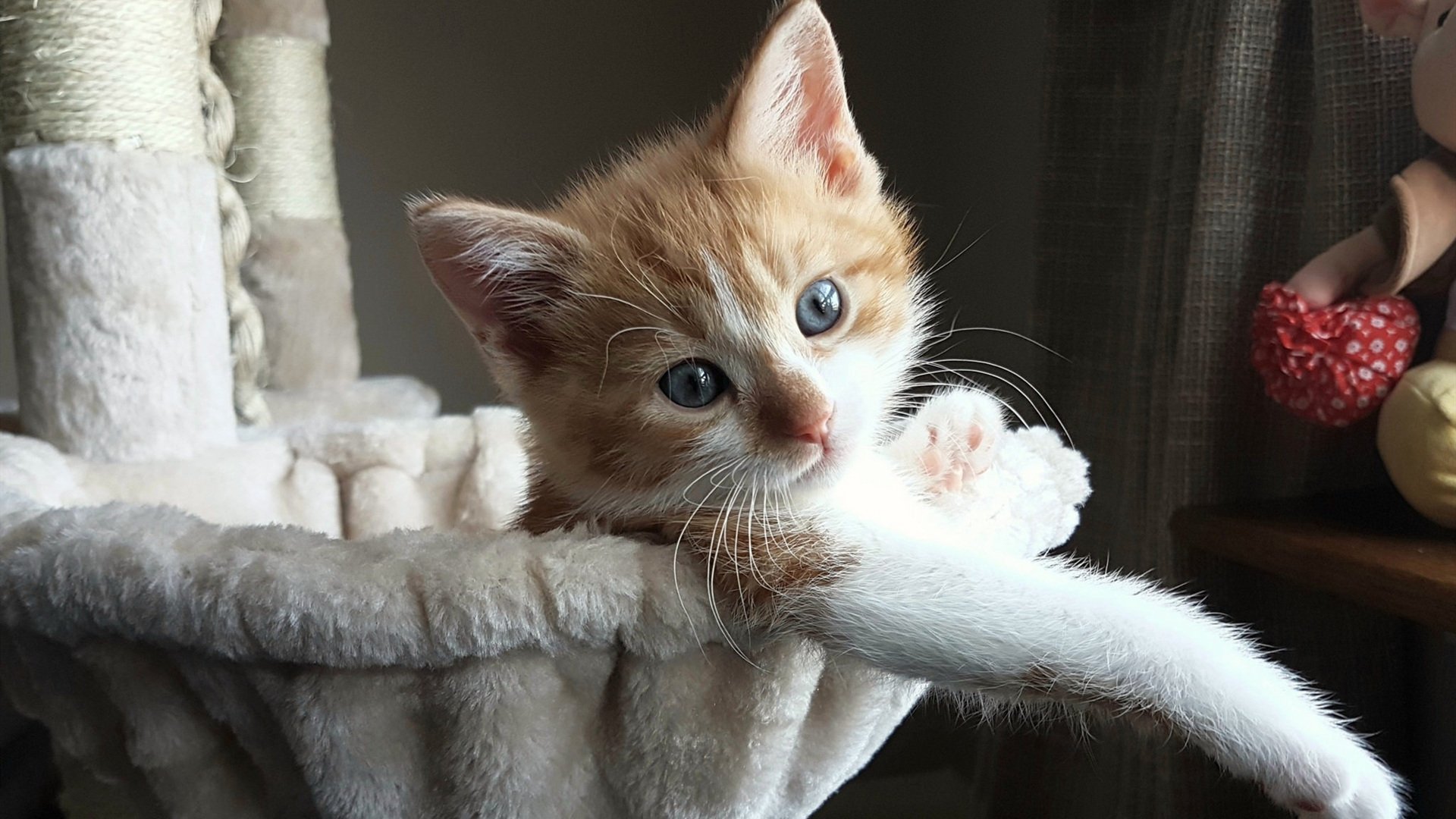 CBA赛季开幕在即 各支球队完成注册备案,cba2022赛季球员注册信息