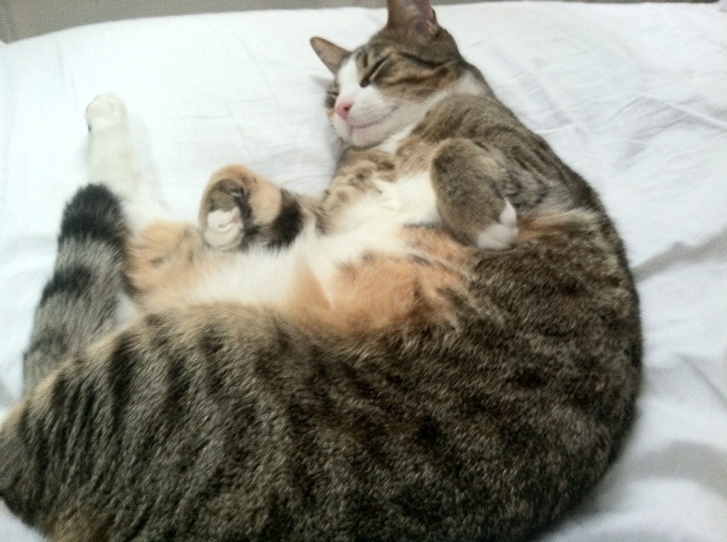 足协下发指导意见鼓励各级联赛自主办赛和招商,足协发布管理办法